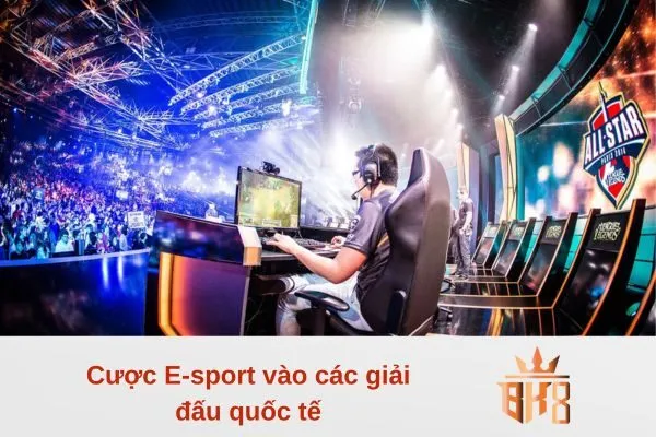Cược E-sport vào các giải đấu quốc tế