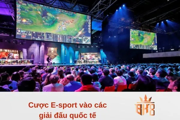 Cược E-sport vào các giải đấu quốc tế