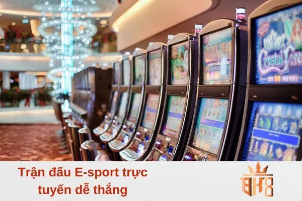 Trận đấu E-sport trực tuyến dễ thắng